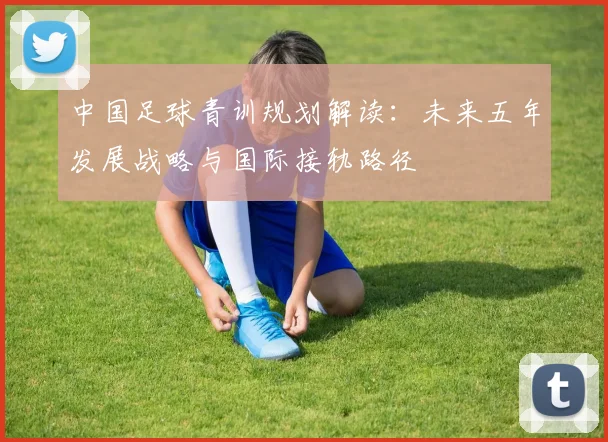 中国足球青训规划解读:未来五年发展战略与国际接轨路径