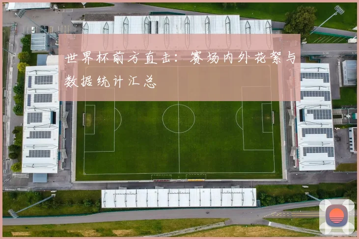 世界杯前方直击：赛场内外花絮与数据统计汇总