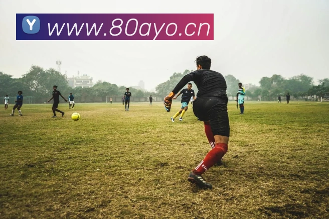 九游官方登录入口平台生态图